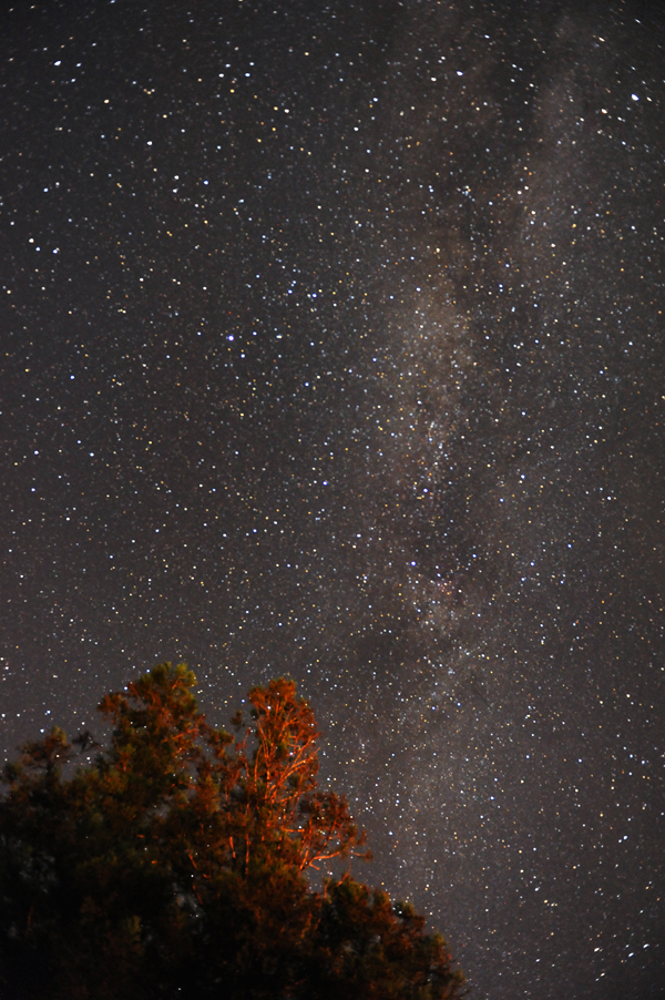 700_7025_select_stars_SNS.jpg