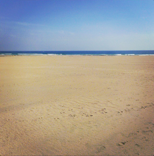 shore.jpg